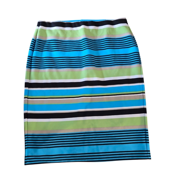 NYCC multi-color horizontal large stripe straight skirt, L. EUC. - Picture 1 of 3
